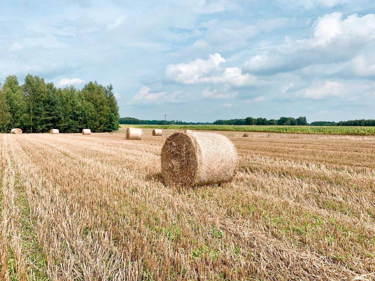 פשאסניש Agroturystyka Sielanka מראה חיצוני תמונה